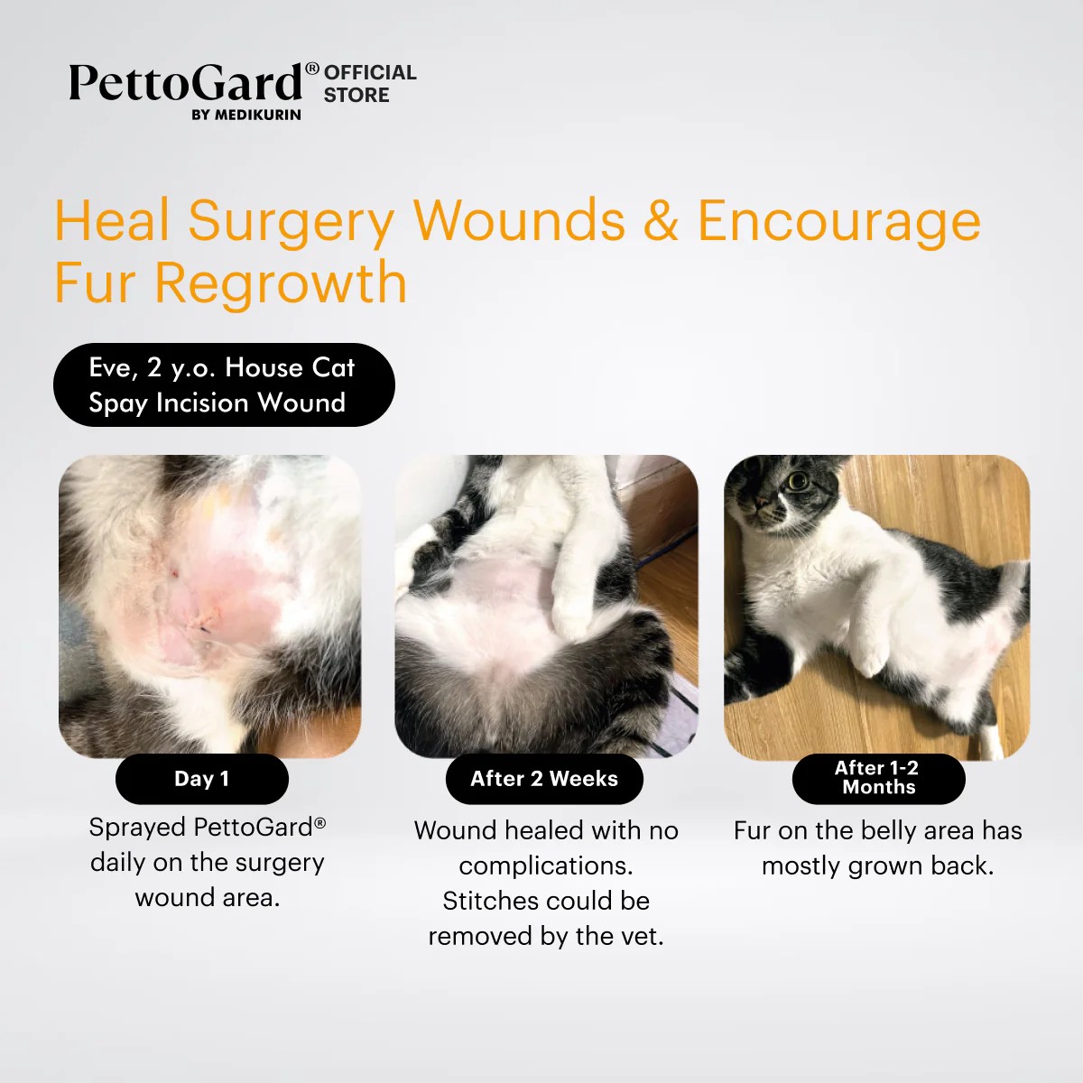 Antimicrobial Skin Care & Wound Spray for Cats 100ml 皮膚修護抗菌噴霧 (貓咪專用配方) 100ml - Image 3