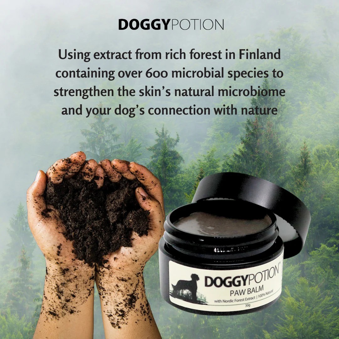 Paw Balm with Nordic Forest Extract 30g 肉球修護軟膏 (北歐森林配方) 30g - Image 3